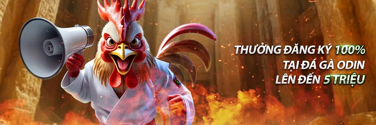 Đá Gà KFC.com – Sân Chơi Đá Gà Trực Tiếp Hàng Đầu